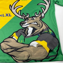 Load image into Gallery viewer, Boys All Rosie Promotions, Chatswood Rugby sports / activewear top, FUC, size 10,