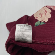 Load image into Gallery viewer, Girls Baby Berry, floral fleece lined pants, elasticated, GUC, size 0000,