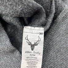 Load image into Gallery viewer, Boys Allen Solly, fleece lined lightweight sweater / jumper, EUC, size 2-3,