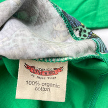 Load image into Gallery viewer, Boys LITTLE WINGS, organic cotton long sleeve tee / top, dragons, EUC, size 6 months,