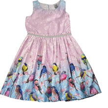 Load image into Gallery viewer, Girls Target, cotton lined party dress, birds, marks on skirt, FUC, size 6, L: 64cm