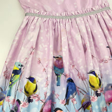 Load image into Gallery viewer, Girls Target, cotton lined party dress, birds, marks on skirt, FUC, size 6, L: 64cm