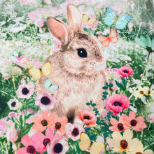 Load image into Gallery viewer, Girls H&M, lightweight tee / top, rabbit (light marks at neck), FUC, size 7-8,