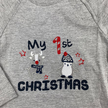 Load image into Gallery viewer, Boys St Bernard, grey long sleeve Christmas t-shirt / top, EUC, size 0