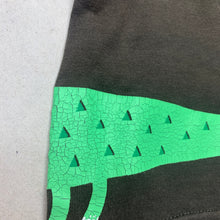 Load image into Gallery viewer, Boys Cotton On, long sleeve t-shirt / top, crocodile, GUC, size 00,  