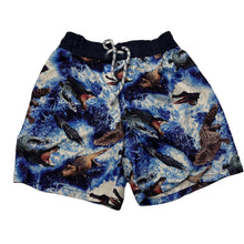 Load image into Gallery viewer, Boys Target, lightweight board shorts, elasticated, crocodiles, FUC, size 9,  