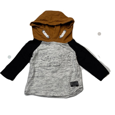 Boys Dymples, cotton hooded t-shirt / top, dinosaur, EUC, size 00,  