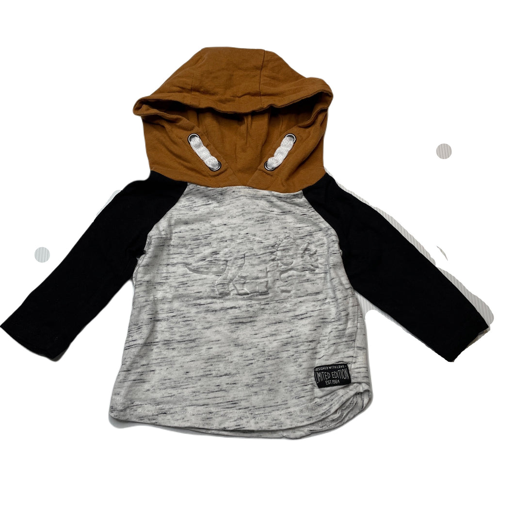 Boys Dymples, cotton hooded t-shirt / top, dinosaur, EUC, size 00,  