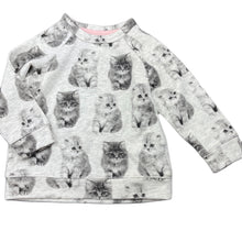 Load image into Gallery viewer, Girls H&amp;M, lightweight sweater / jumper, kittens, EUC, size 00,  
