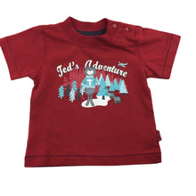 Load image into Gallery viewer, Pumpkin Patch red cotton t-shirt / tee, bear, size 000, Pre-loved