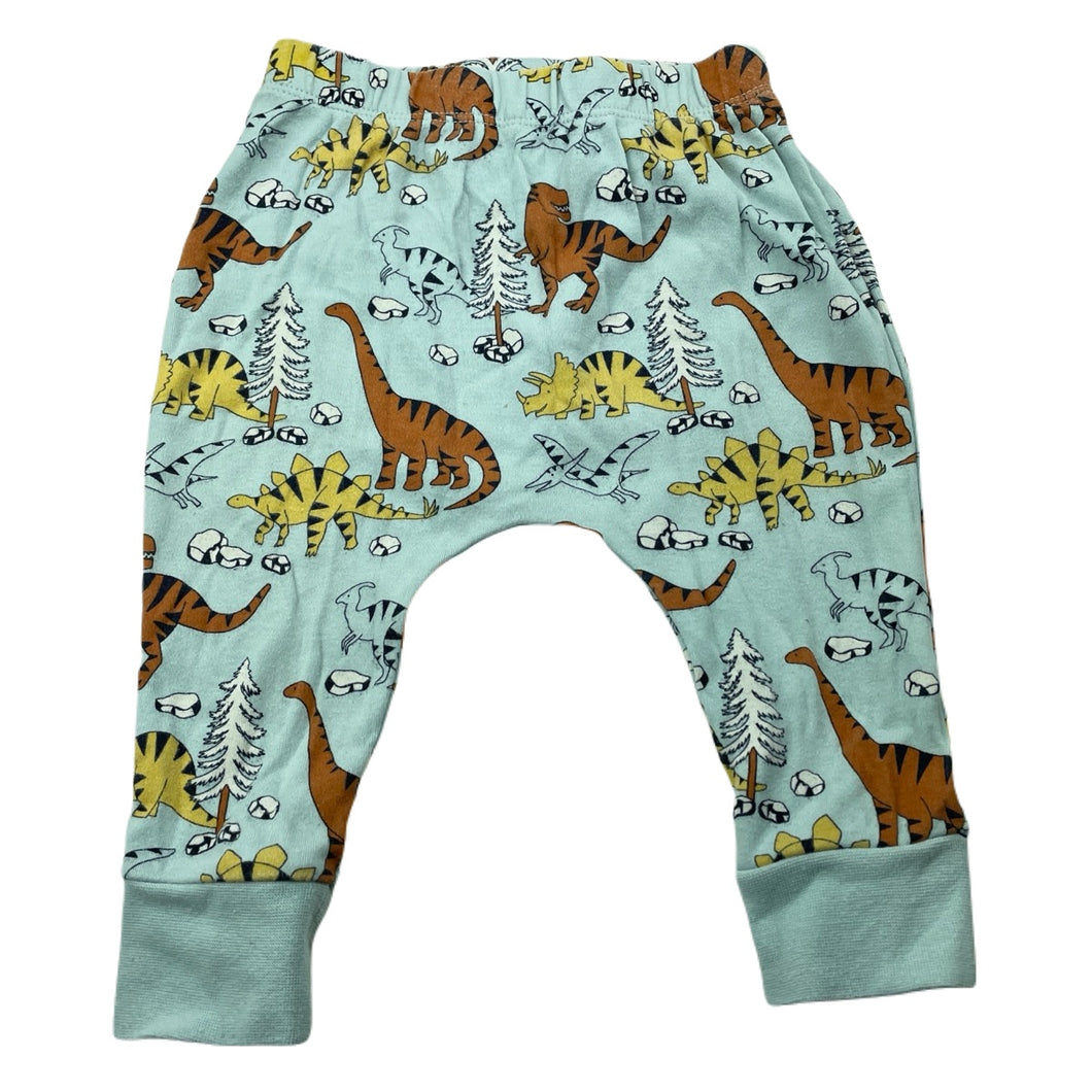 Boys Target, cotton leggings / bottoms, dinosaurs, GUC, size 0,  