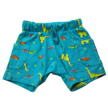 Load image into Gallery viewer, unisex Dymples, stretchy shorts, elasticated, dinosaurs, EUC, size 00,  