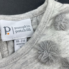Load image into Gallery viewer, Girls Pumpkin Patch, grey cotton long sleeve top, small mark right sleeve, FUC, size 2,  