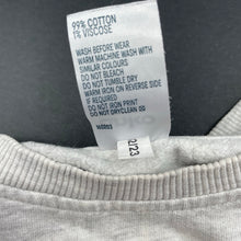 Load image into Gallery viewer, Boys Anko, lightweight sweater / jumper, bear, GUC, size 2,  