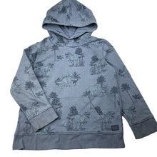Load image into Gallery viewer, Boys Target, fleece lined hoodie sweater, dinosaurs, FUC, size 5,  