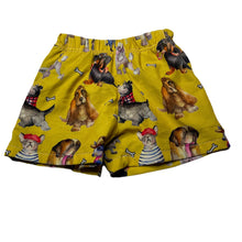 Load image into Gallery viewer, Boys Cheeky Chickadee, lined board shorts, elasticated, *drawcord missing, elastic functional*, GUC, size 2,  