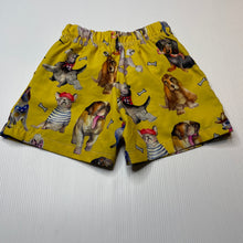 Load image into Gallery viewer, Boys Cheeky Chickadee, lined board shorts, elasticated, *drawcord missing, elastic functional*, GUC, size 2,  