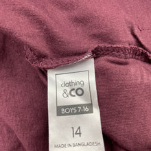 Load image into Gallery viewer, Boys Clothing &amp; Co, cotton long sleeve t-shirt / top, EUC, size 14,  