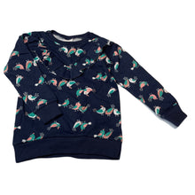 Load image into Gallery viewer, Girls B Collection, fleece lined sweater / jumper, birds, EUC, size 5,  