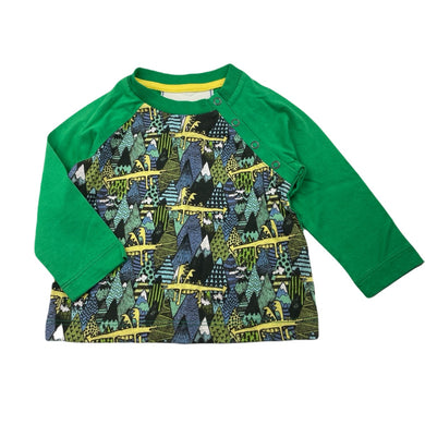 Boys LITTLE WINGS, organic cotton long sleeve tee / top, dragons, EUC, size 6 months,  