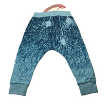 Load image into Gallery viewer, Boys LITTLE WINGS, organic cotton track pants, spiders, NEW, size 12 months,  