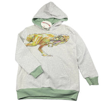 Load image into Gallery viewer, Boys PAPER WINGS, organic cotton hoodie sweater, dinosaur, NEW, size 8,  