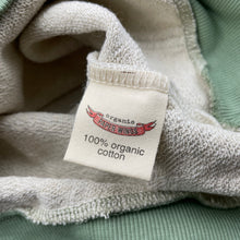 Load image into Gallery viewer, Boys PAPER WINGS, organic cotton hoodie sweater, dinosaur, NEW, size 8,  