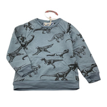 Load image into Gallery viewer, Boys LITTLE WINGS, organic cotton sweater / jumper, dinosaurs, NEW, size 3,  