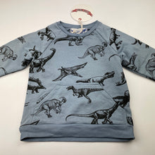 Load image into Gallery viewer, Boys LITTLE WINGS, organic cotton sweater / jumper, dinosaurs, NEW, size 3,  