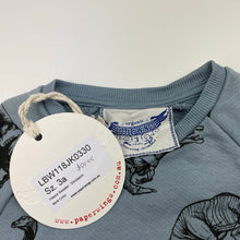 Load image into Gallery viewer, Boys LITTLE WINGS, organic cotton sweater / jumper, dinosaurs, NEW, size 3,  