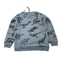 Load image into Gallery viewer, Boys LITTLE WINGS, organic cotton sweater / jumper, dinosaurs, NEW, size 3,  