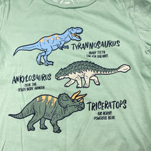 Load image into Gallery viewer, Boys KID, organic cotton tee / top, dinosaurs, GUC, size 7,  