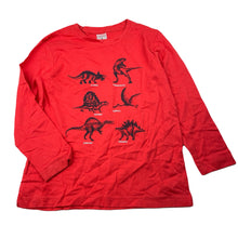 Load image into Gallery viewer, Boys Target, cotton long sleeve tee / top, dinosaurs, FUC, size 5,  