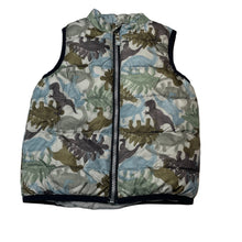 Load image into Gallery viewer, Boys Dymples, puffer vest / sleeveless jacket, dinosaurs, GUC, size 2,  