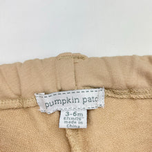 Load image into Gallery viewer, Girls Pumpkin Patch, stretchy pants, adjustable, GUC, size 00,  