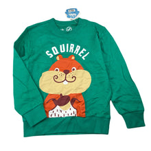 Load image into Gallery viewer, Boys Baleno Jnr, green lightweight sweater / jumper, squirrel, NEW, size 8-9,  