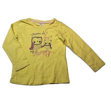 Girls Target, cotton long sleeve tee / top, FUC, size 2,  