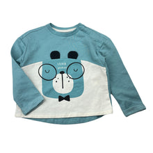 Load image into Gallery viewer, Boys Higgledee, fleece lined long sleeve top / lightweight sweater, EUC, size 2,  