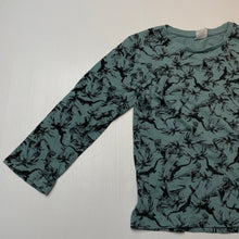 Load image into Gallery viewer, Boys Lily &amp; Dan, organic cotton long sleeve top, dinosaurs, GUC, size 5,  