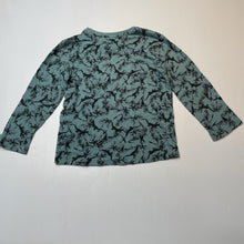 Load image into Gallery viewer, Boys Lily &amp; Dan, organic cotton long sleeve top, dinosaurs, GUC, size 5,  