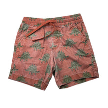 Load image into Gallery viewer, Boys Target, lightweight cotton blend shorts, elasticated, EUC, size 5,  