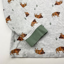 Load image into Gallery viewer, Boys Anko, long sleeve pyjama top, GUC, size 8,  