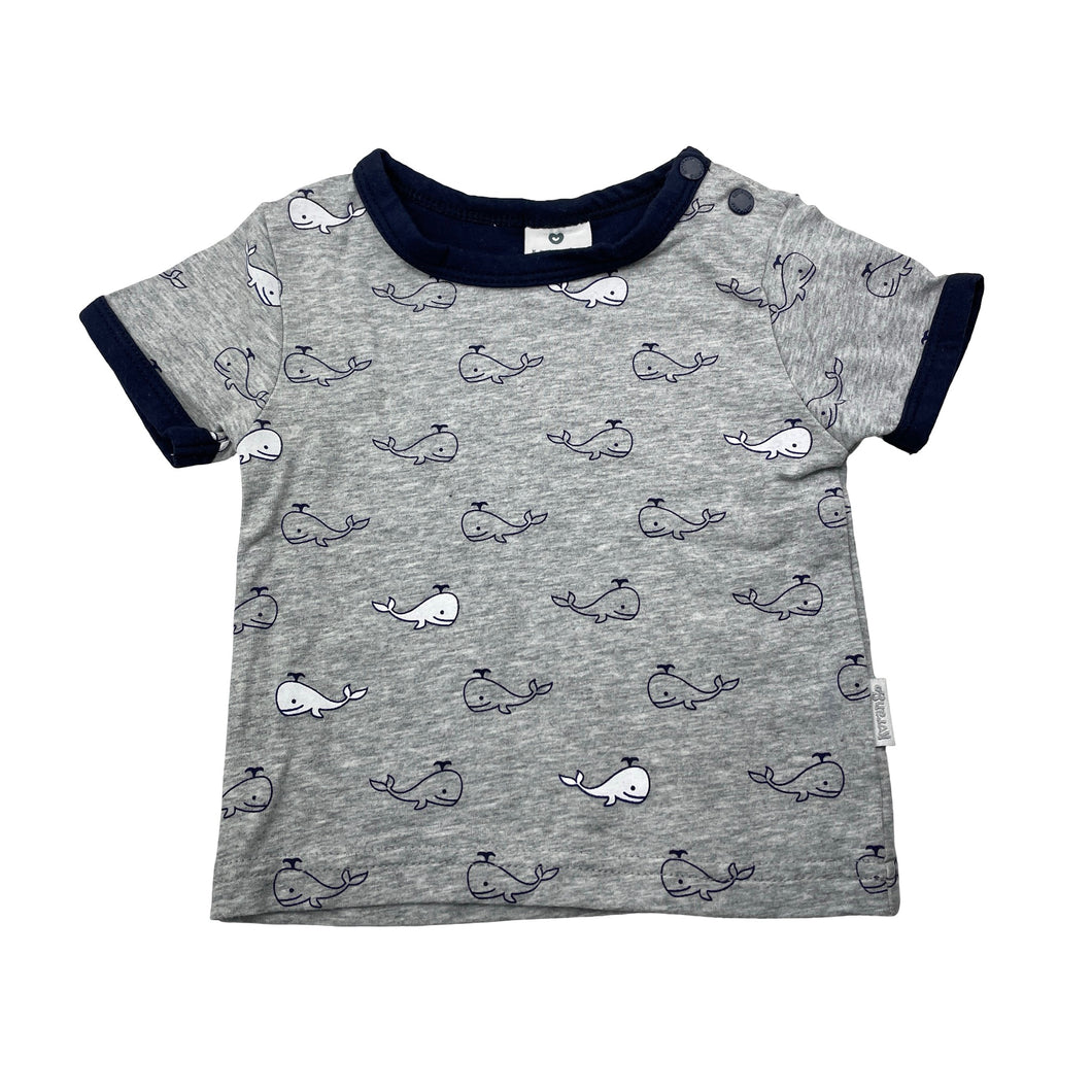 Boys Korango, stretchy tee / top, whales, EUC, size 00,  