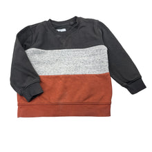 Load image into Gallery viewer, Boys Target, fleece lined sweater / jumper, FUC, size 3,  