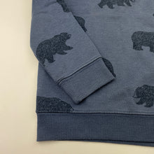 Load image into Gallery viewer, Boys Anko, fleece lined sweater / jumper, bears, FUC, size 6,  