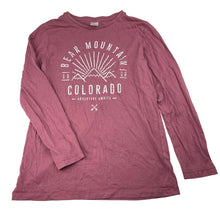 Load image into Gallery viewer, Boys Target, cotton long sleeve tee / top, GUC, size 10,  