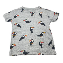Load image into Gallery viewer, Boys Anko, grey marle tee / top, toucans, FUC, size 6,  