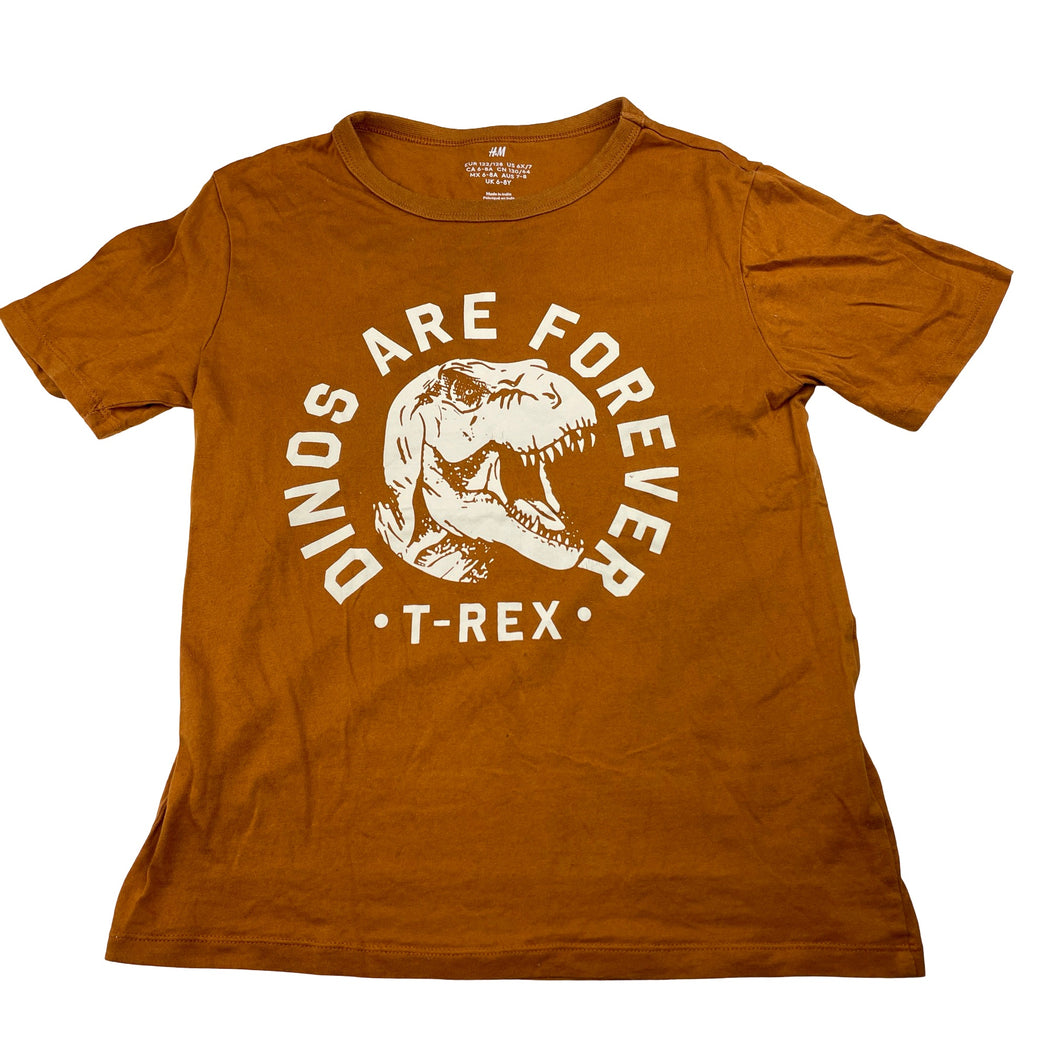 Boys H&M, cotton tee / top, dinosaur, FUC, size 7-8,  