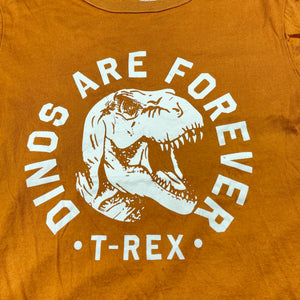 Boys H&M, cotton tee / top, dinosaur, FUC, size 7-8,  