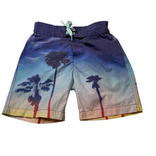 Load image into Gallery viewer, Boys Pumpkin Patch, lightweight board shorts, adjustable, wash fade, FUC, size 2,  